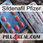Sildenafil Pfizer 36